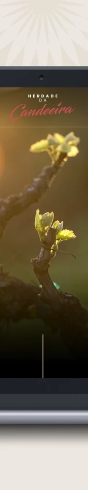 Herdade Da Candeeira Web 2